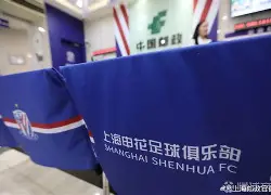 开云中国-山东泰山2024年亚冠参赛球员名单