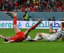 开云中国-不可以踩我的切尔西